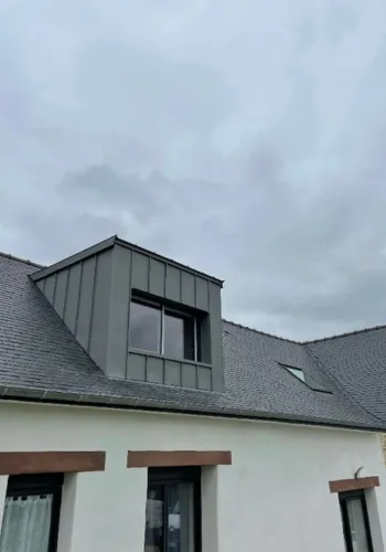 bardage zinc mece