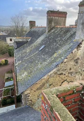 isolation rampant fougeres